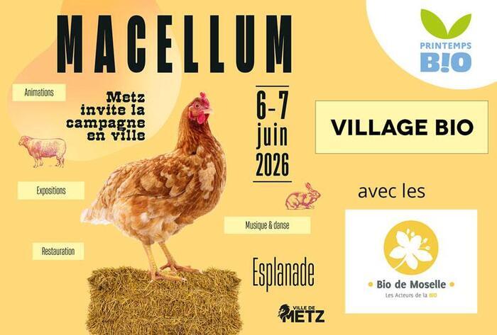 Village Bio du Macellum – Metz