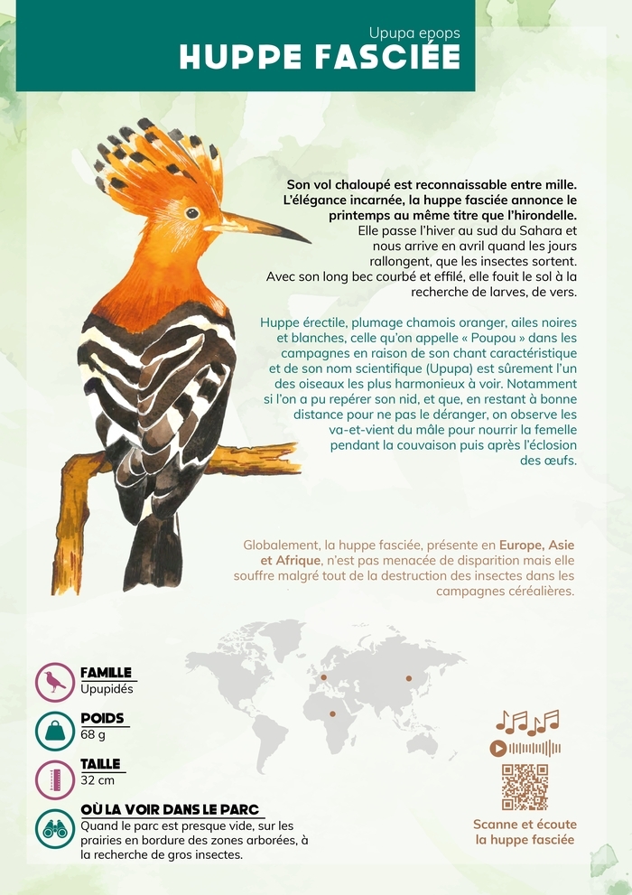 Exposition illustrée "Les oiseaux familiers du parc"