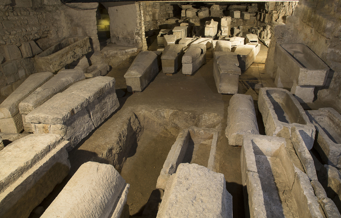 Venez découvrir les secrets du sarcophage n°49