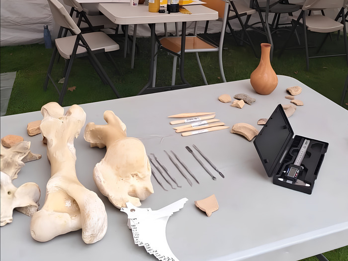Bac de fouille archéozoologique