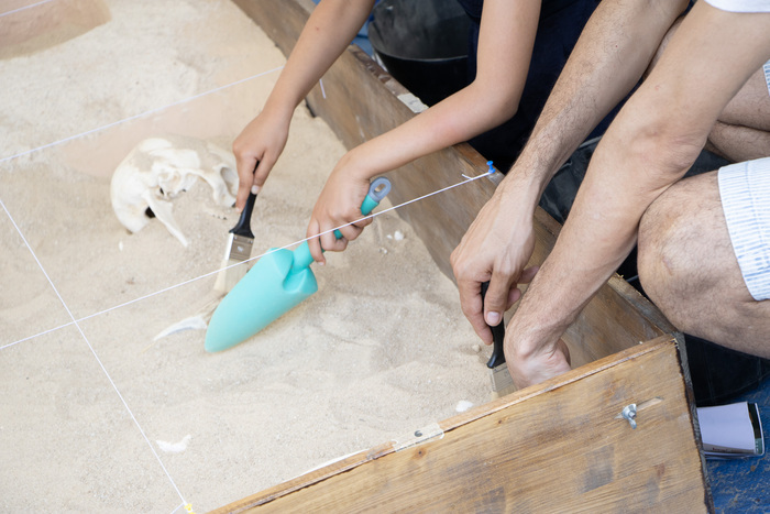 Ateliers autour de l'archéologie