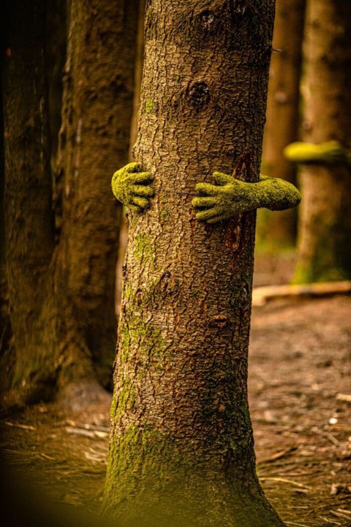 Tree Hug