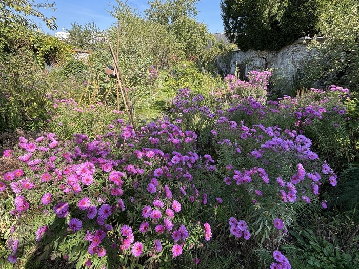Visite découverte du jardin