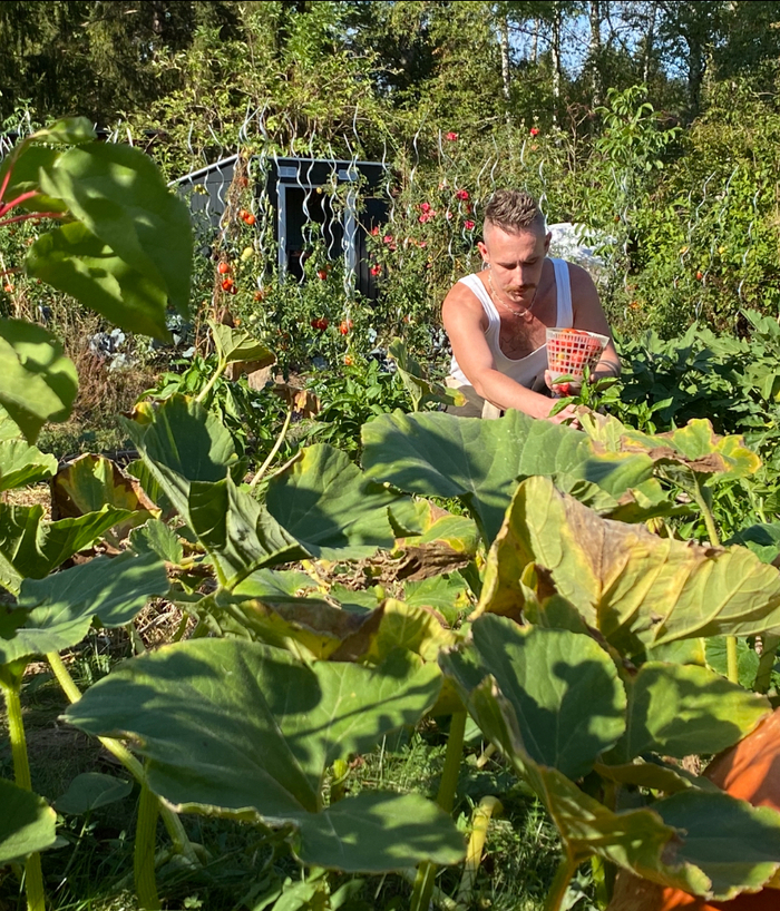 Balade dans "Le coin vert de Stéphane"