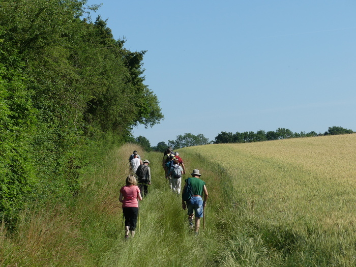 Rando archéo dans la forêt de Sarre-Union