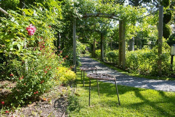 Visite du jardin : les plantes médicinales