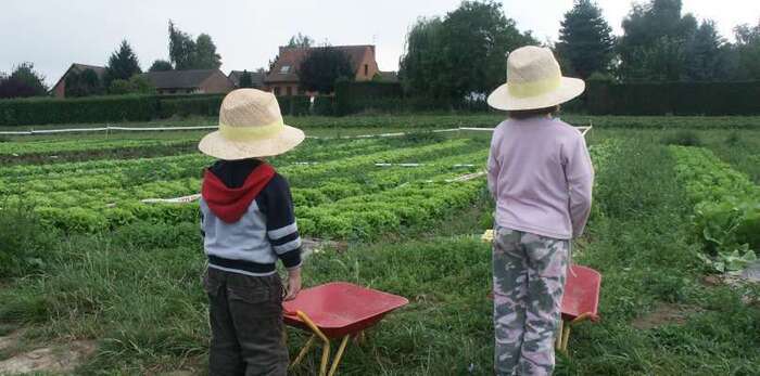 Cueillettes Chapeau de Paille - Beaurains