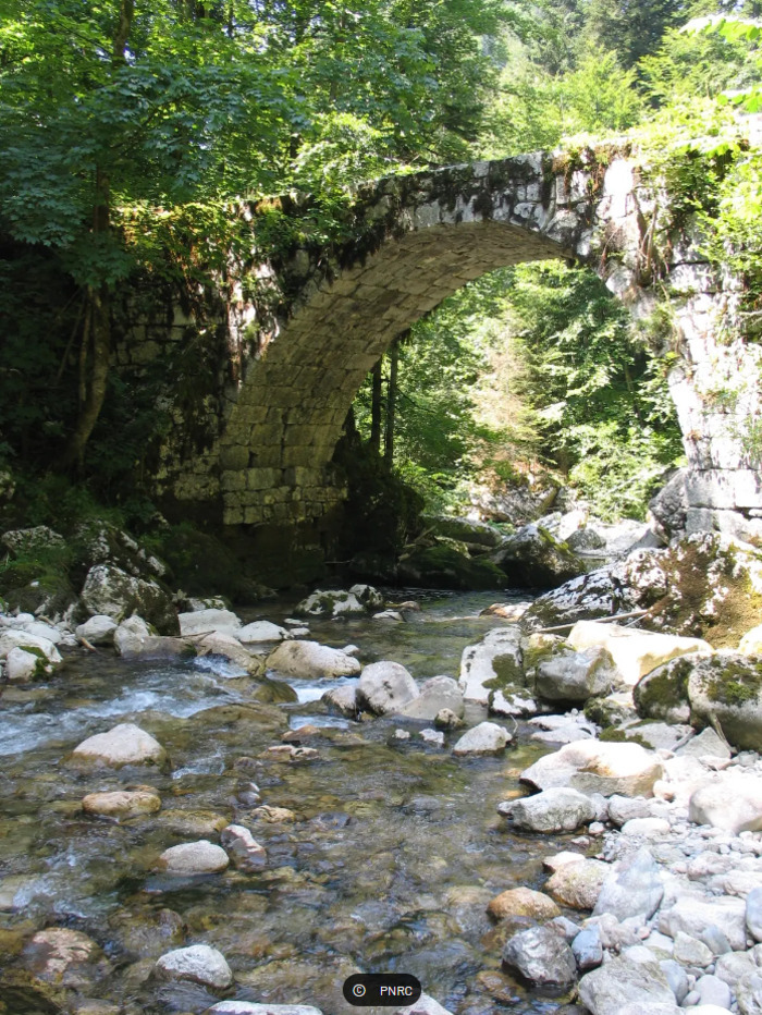 Visite guidée : A la découverte des usages de l'énergie hydraulique par les Chartreux