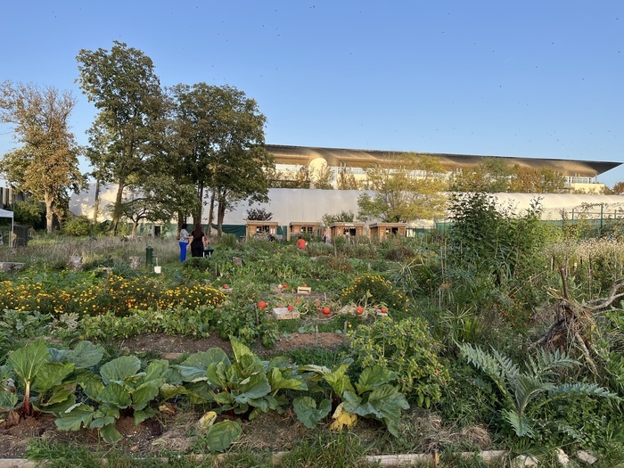 Portes ouvertes aux jardins partagés