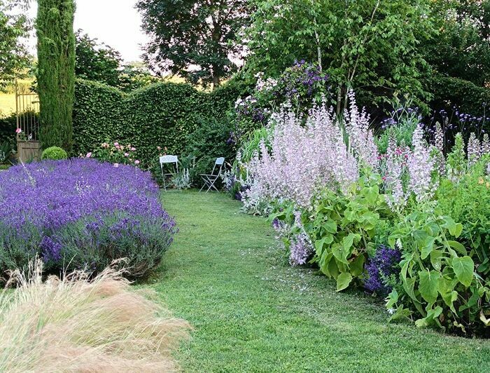 Visite guidée du Jardin " Le Mas du Pré"