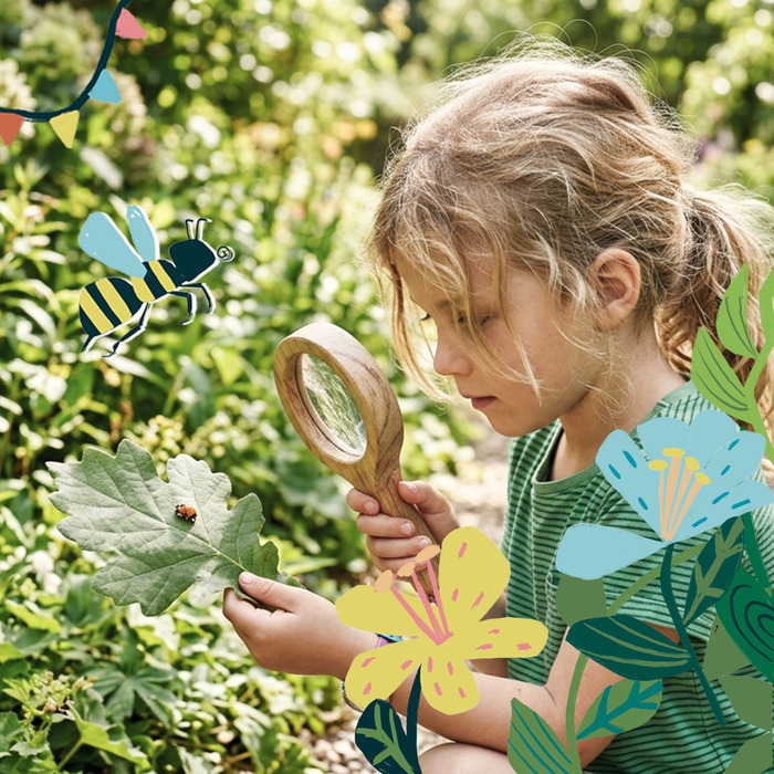 ATELIER D’OBSERVATION DES INSECTES, par Les Petits Débrouillards