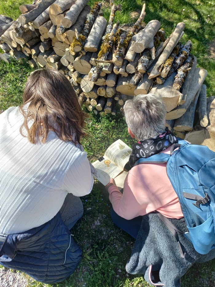 Balade Branchée à Abondance