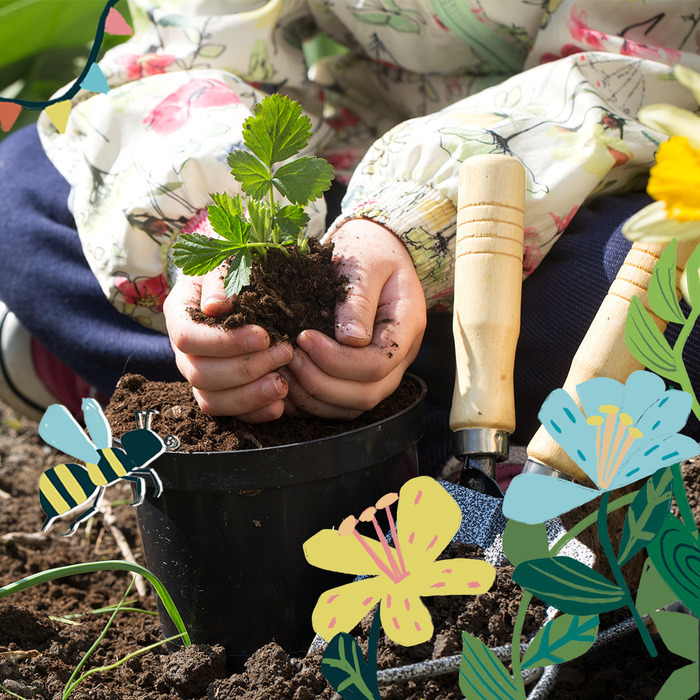 ATELIER PLANTATIONS AU BALCON, par Graines de troc