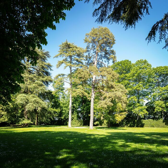 Balades guidées – Le parc du Château de Ray-sur-Saône et ses détails