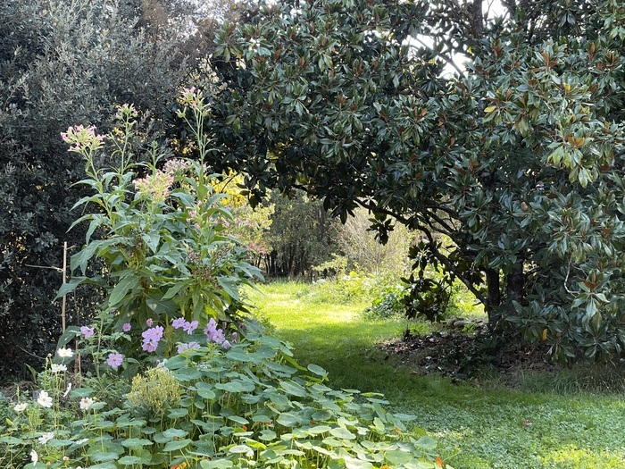 Visite du parc du Chant du Buc, refuge LPO, avec Evelyne Haber, présidente LPO Tarn et spécialiste de l'écoute de la biodiversité et des oiseaux.