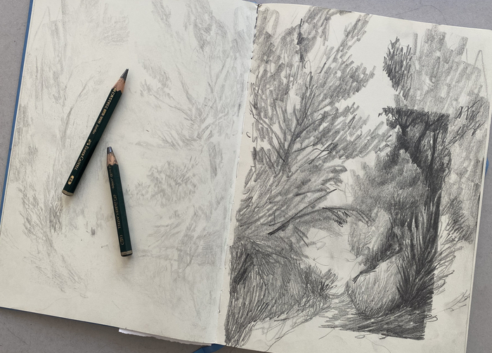 Atelier dessin avec Cédric Torne