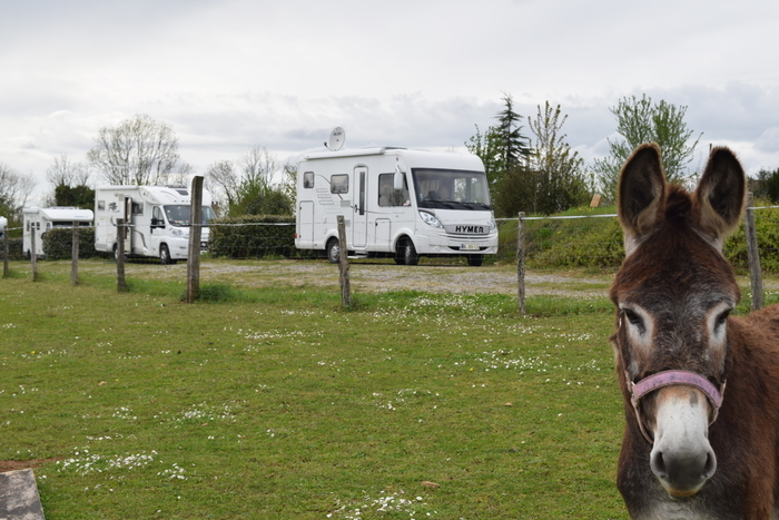 Visite découverte : Accueil de camping cars et hébergement insolite