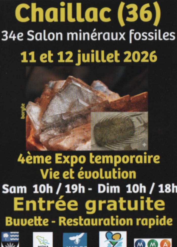La vie l'évolution jusqu'à la disparition des dinausores