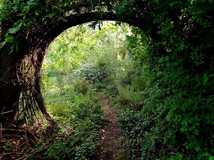 Visite du jardin expérimental de Biodiversio