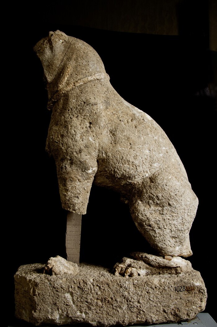 Visite commentée du musée et du site archéologique