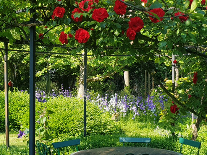 Découverte paisible d'un jardin