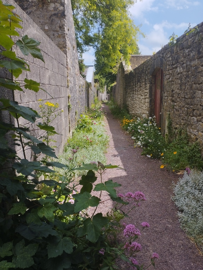Visite guidée : Chasses, ruelles et venelles du vieux Valognes
