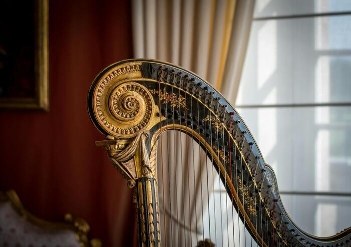 Concert de harpe - École Cortot à la Cité de l’Economie