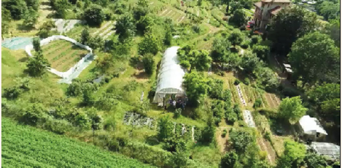 Visite libre de nos jardins en permaculture