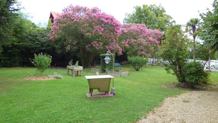 Croquons notre jardin !