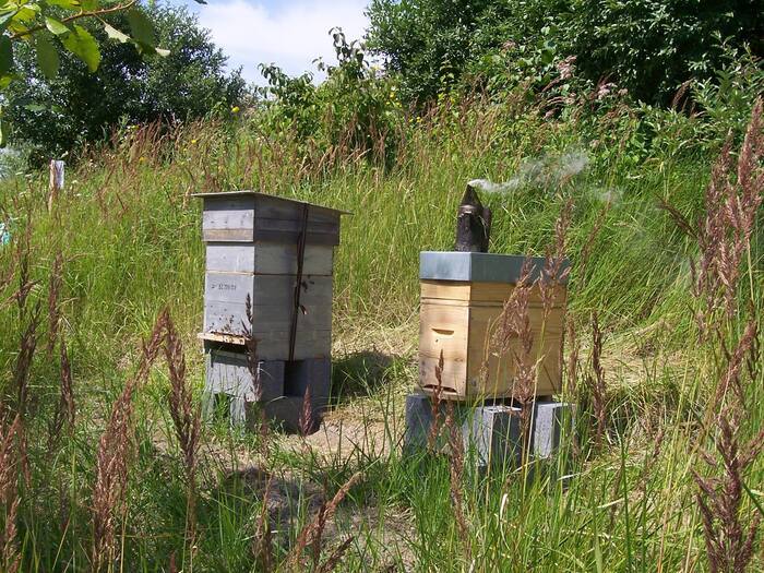 Marché du CIVAM – Ferme du Héron - Apis Urbana