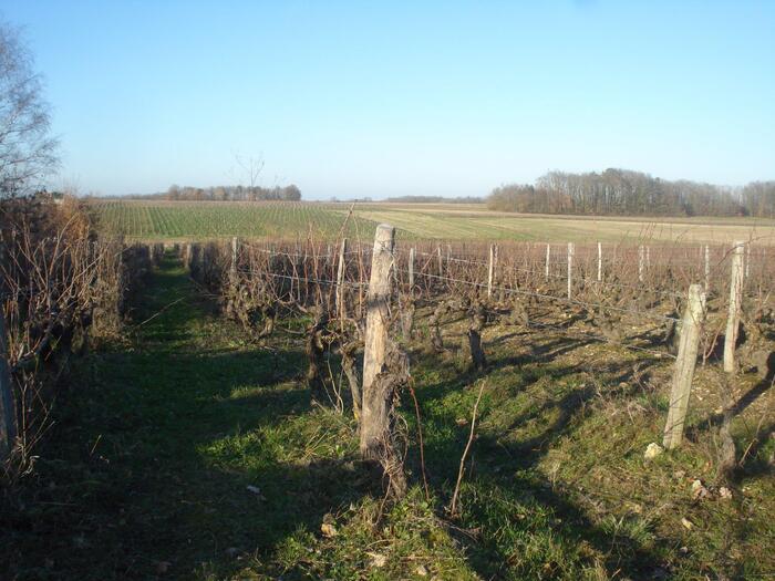 Marché du CIVAM – Ferme du Héron - Domaine des Maisonnettes