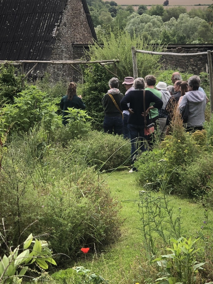 Visite guidée des jardins ornementaux et nourriciers, entre plantes sauvages et cultivées