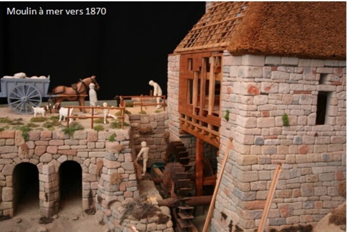 Visite du musée