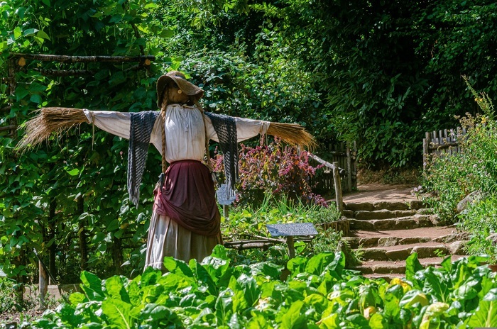 Présentation du Jardin potager : Initiation à la découpe de légumes