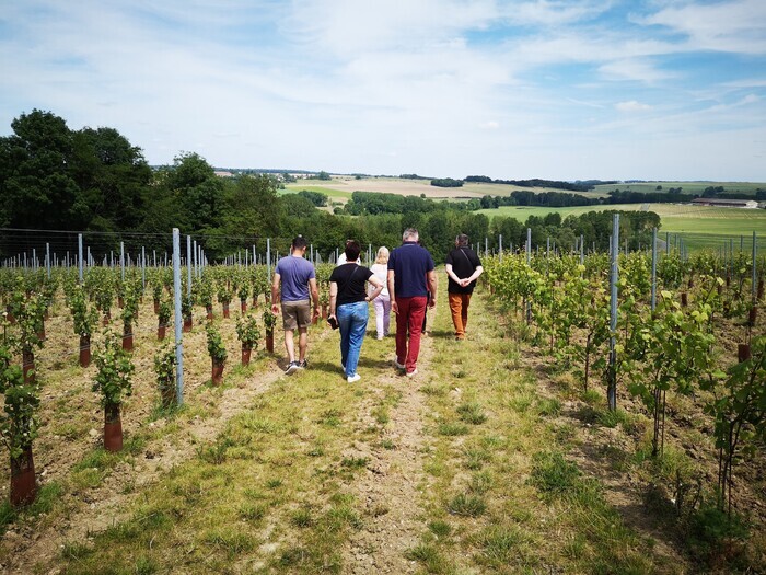 Domaine Delorozoy - Pique-nique aux vignes