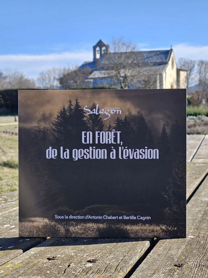 Visite En forêt, de la gestion à l'évasion