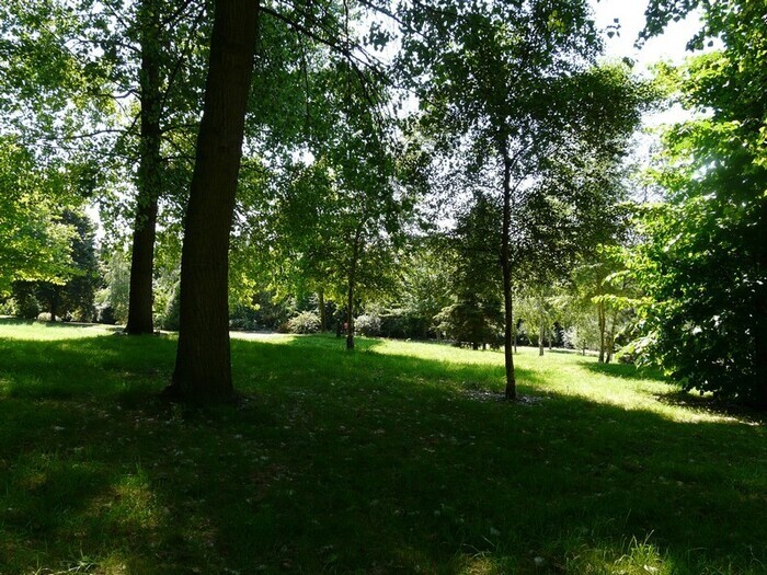 Apprendre à reconnaître les arbres et à fabriquer son herbier