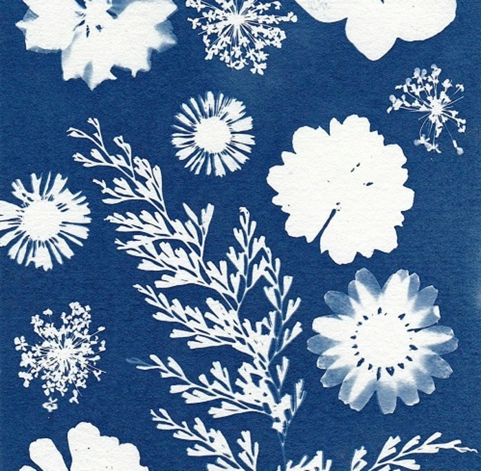 Atelier jeune public : "Cyanotype"