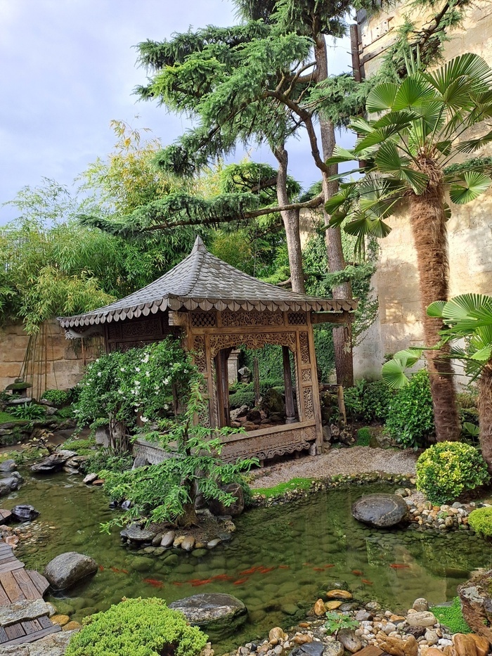 Découverte d'un jardin primitif japonais en plein centre de Bordeaux