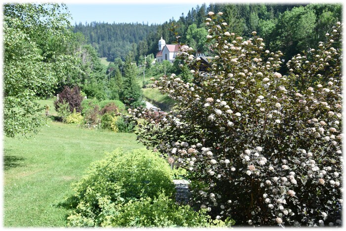 Visite guidée des jardins d'altitude