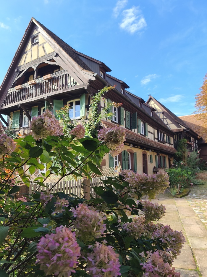Visite libre du jardin paysager et poétique d'une ancienne ferme alsacienne