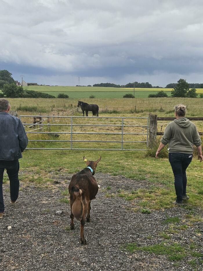 Week-end à la ferme - Territoire du Sud de l'Aisne