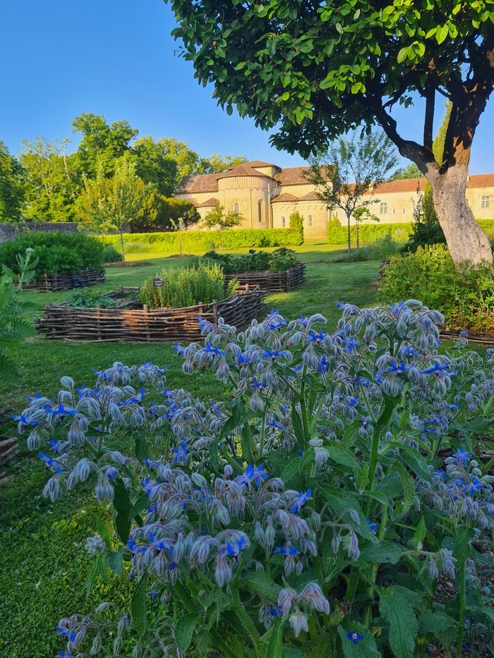 Visite des jardins de l'abbaye de Flaran