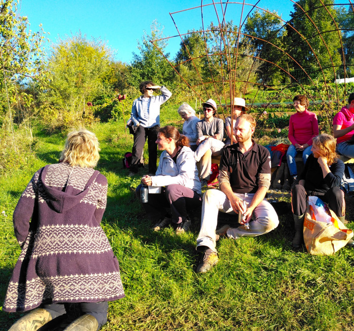 Visite accompagnée dans les jardins en permaculture
