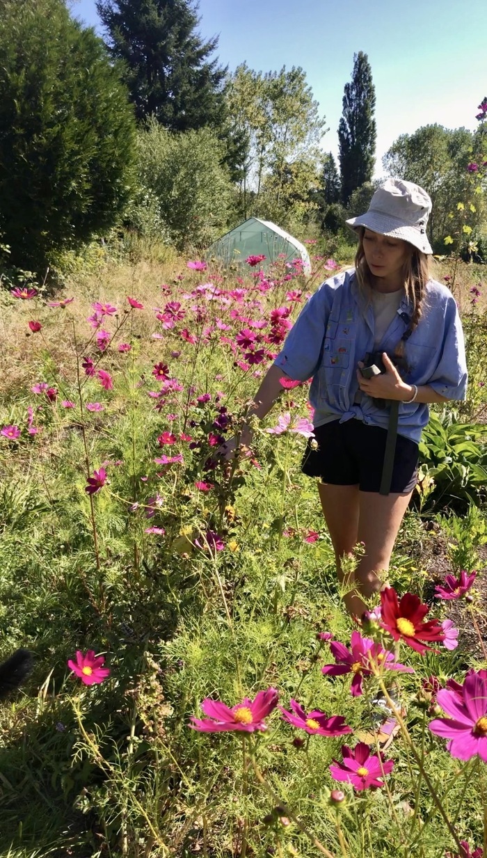 Visite d’un jardin de plantes aromatiques, sans la vue !