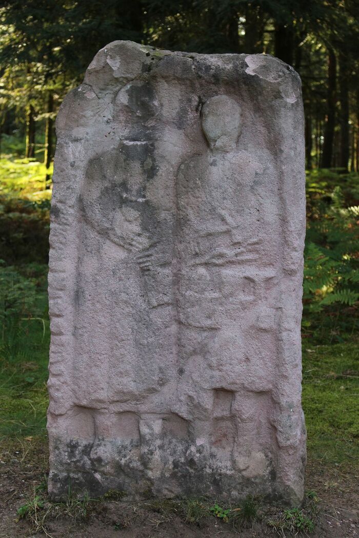 Visite guidée du Camp Celtique de la Bure