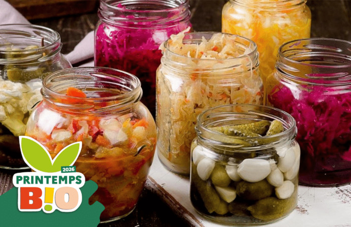 Atelier Légumes lacto-fermentés