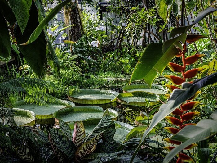 Visite des serres du Jardin botanique Jean-Marie Pelt