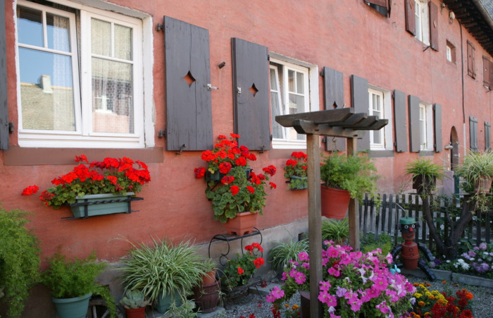 Visite guidée "Ma cité est un jardin : le Stockfeld"