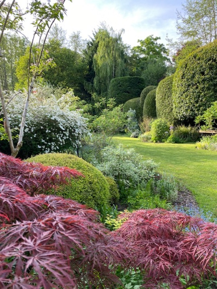 Visite du jardin des Glycines de Nesles-la-vallée